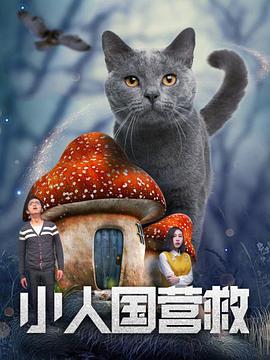 av影音在线资源