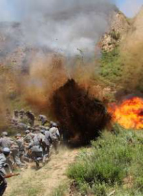 黄色a v视频