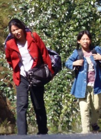 av在线播放网