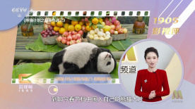 拍真实国产伦偷精品